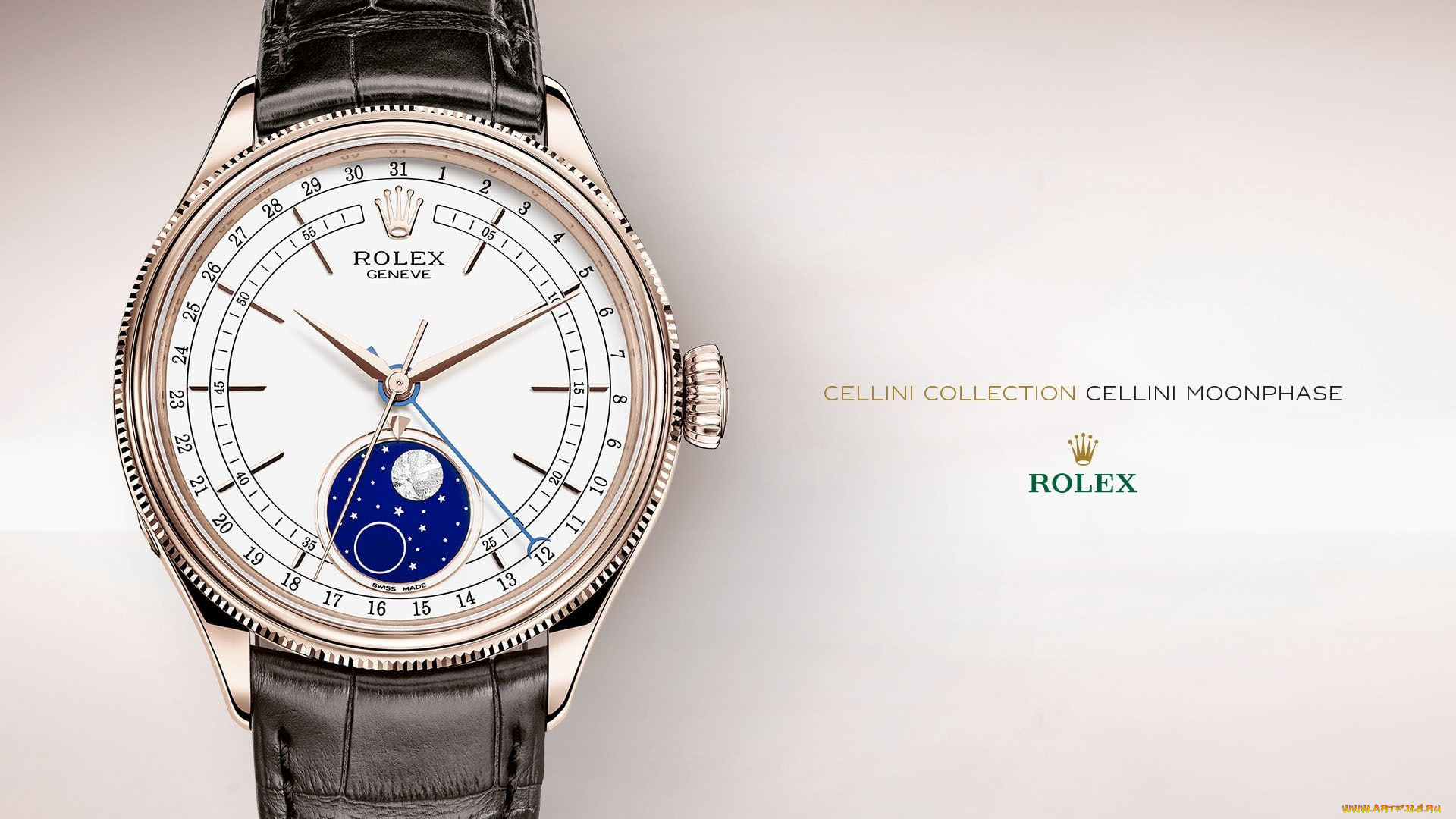 , rolex, jewelry, luxury, watches